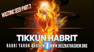 TIKKUN HaBRIT (WASTING SEED PART 2)