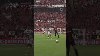 -rRzsrTmMIQ Video Image