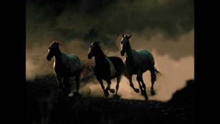 Watch Garth Brooks Wild Horses video