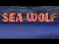 [SSN-21 Seawolf - Игровой процесс]