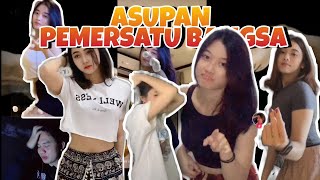 Asupan Tiktok Pemersatu Bangsa Terbaru, Bikin Tegang Reaction Tiktok Viral Terbaru