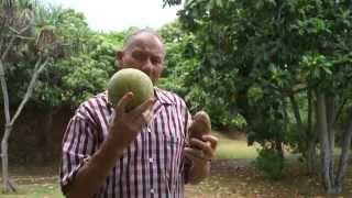Chef John Cadman Breadfruit Vs Potato