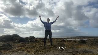 Qi Gong for Coordination