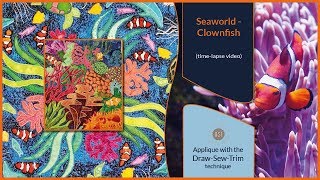 How it was made - Seaworld / Clownfish (DST / Time-lapse)