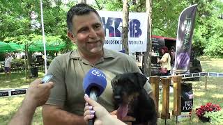 Tv Bečej Nemački Lovni Terijer Iz Vršca Najlepši Pas Cacib Bečej