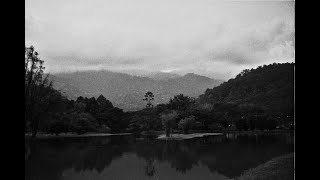 Fomapan 100 Developed With Caffenol