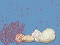 THREAT POSED BY ACIDIFICATION (Climate Insights: bite size)