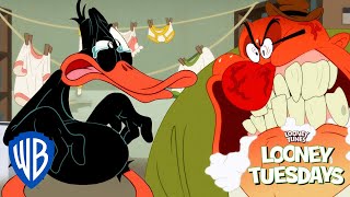Looney Tunes Em Português 🇧🇷 | Pato Atrasado🦆 | Wb Kids