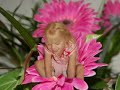 Angelman Syndrome
