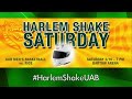 Harlem Shake UAB 2/16/13