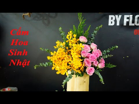 Cắm Bình hoa chúc mừng sinh nhật kiểu tam giác Hoa Lan
