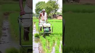 Smart Rice Planting Machine In India Realistic Farming Video 4K