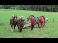 TUG OF WAR: 1 Horse against 18 men