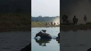 The Most Joyful Bath Time With Family