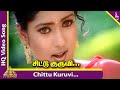 Chittu Kuruvi Video Song | Parasuram Tamil Movie Songs | Arjun | Gayathri Raghuram | AR Rahman