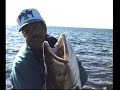 Giant Lake Trout