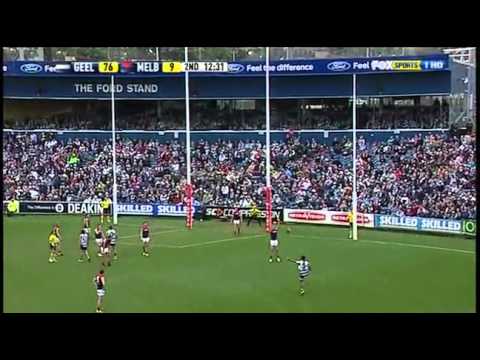 melbourne demons background