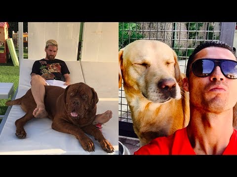 СОБАКИ ФУТБОЛИСТОВ ★ ГОЛОСУЙТЕ ЗА ЛУЧШИХ ★ МЕССИ●РОНАЛДУ●НЕЙМАР●ГРИЗМАНН СОБАКИ ФУТБОЛИСТОВ ★ ГОЛОСУЙТЕ ЗА ЛУЧШИХ ★ МЕССИ●РОНАЛДУ●НЕЙМАР●ГРИЗМАНН