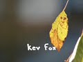 KEV FOX ... HELP YOURSELF KEV FOX ... HELP YOURSELF