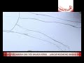 Lebih Cepat Mahir Menggambar Manga Dengan Pensil images Lebih Cepat Mahir Menggambar Manga Dengan Pensil