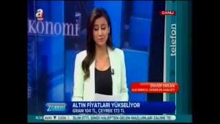 Alb Forex Ansl. Enver Erkan Dolar Piyasasını Değerlendiriyor - A Hbr