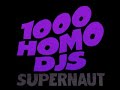 1000 Homo DJ's - Hey Asshole