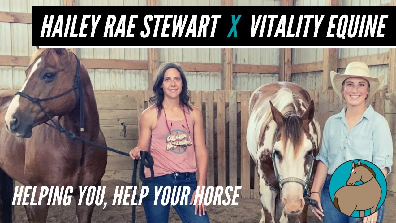 The Vitality Equine Approach with Pete & Bubba!