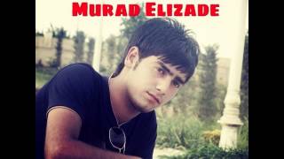 Murad Elizade   Heyatimin Menasi 2014