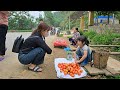 The poor girl went to pick tomato to sell and fend for herself in her new house with her little dog