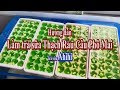 Cách làm trà sữa Thạch Rau Câu Phô Mai vị lá dứa cực ngon - Trà sữa Ahihi
