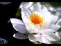 三浦春馬 ぴあEX~届けたい想い~他slow.ver