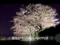 桜月夜の女 COVER（田舎おやじ）
