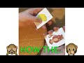Starving Monkey Packet Card Trick - Easy Magic