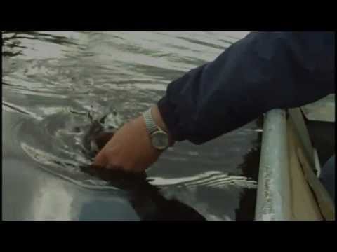 Milwaukee Museum on Wisconsin Fishing Season Opener Is This Weekend Worldnews Com