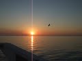 Ibiza Sunset On Board A Boat 2009