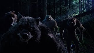 The order werewolf (edit)