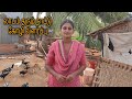 நாட்டு கோழி வளர்ப்பு/How to make Poultry Farm in Tamil/ Nattu Kozhi valarpu