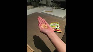 Would You Try These Crispy Ramen Snacks From ?