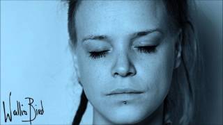 Watch Wallis Bird Ghosts Of Memories video