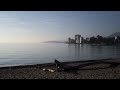 While My Guitar Gently Weeps-Vance Sova-Tribute to Beatles-BC Vid