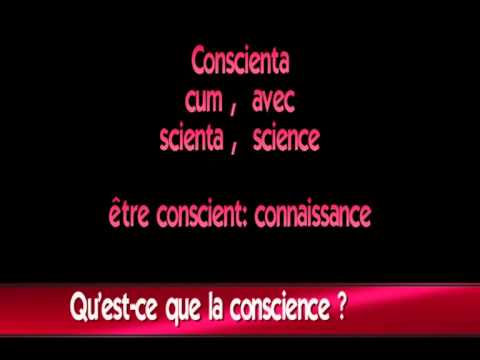 dissertation le droit face la morale et la religion dissertation le droit face la morale et la religion