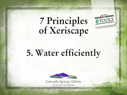 Take Care of Texas™ Offers Tips to Save Water, Energy, and Money 