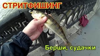 Видео Стритфишинг - Нагатинская набережная #4 от Fishing Reviews, Нагатинская набережная, Москва, Россия