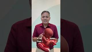 Newborn Breast Buds? Why Its Normal Pediatrician Explains