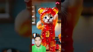 Cat Dancing On The Table, Naughty Action