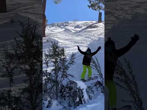 Crashing into a tree on a snowboard