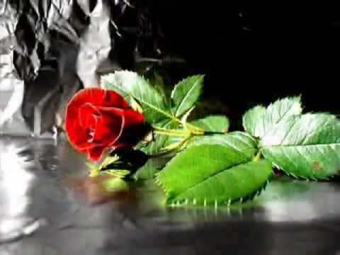 Aage Aage Chahat Chali - Udit Narayan.flv