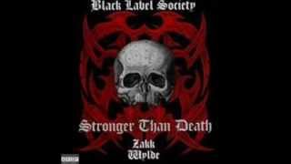 Watch Zakk Wylde Aint Life Grand video