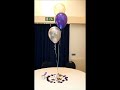 Bumbles Balloons