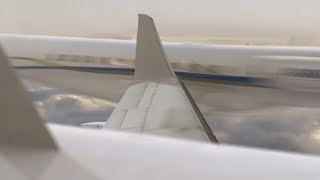 Transportes Aéreos Flight 1907 & Excelaire N600Xl - Collision Animation